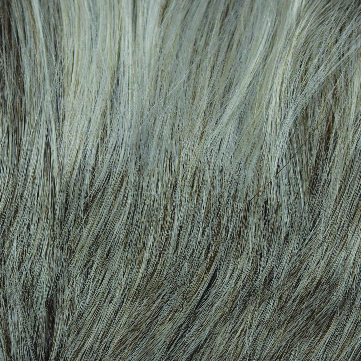 Leoni by Alexander Couture Collection | HF Synthetic Lace Front Wig | Mono Part (1039)