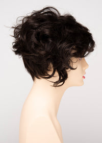 Carrisa by Envy | Synthetic Lace Front Wig | Basic Cap