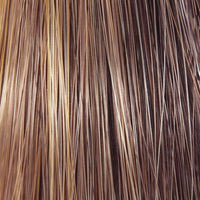 Charlotte by TressAllure | Synthetic Wig | Basic Cap