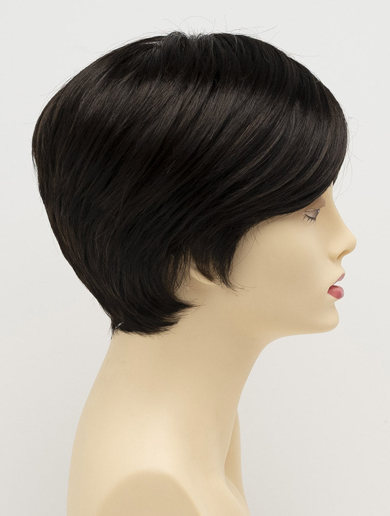 Kris by Envy | Synthetic Hand Tied Wig | Mono Part