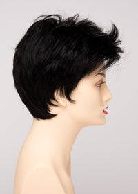 Raven by Envy | Synthetic Lace Front Wig | Open Top