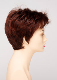 Raven by Envy | Synthetic Lace Front Wig | Open Top