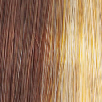 Charlotte by TressAllure | Synthetic Wig | Basic Cap