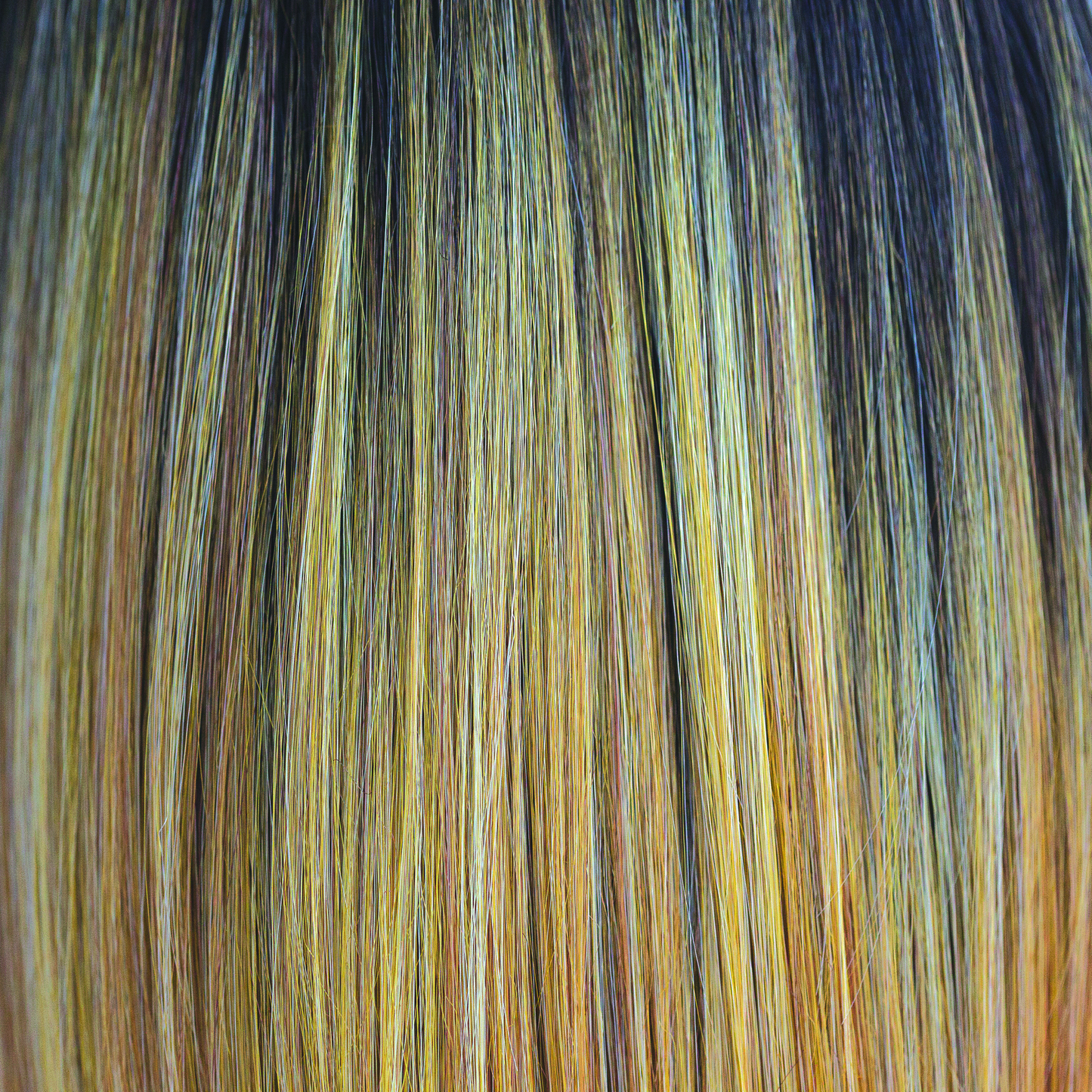 Sassy Wig by The Orchid Collection | Synthetic Wig | Basic Cap