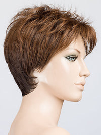 CINNAMON BROWN LIGHTED 6.30.33 | Dark Brown and Light Auburn with Dark Auburn Blend with Highlights Throughout and Concentrated in the Front