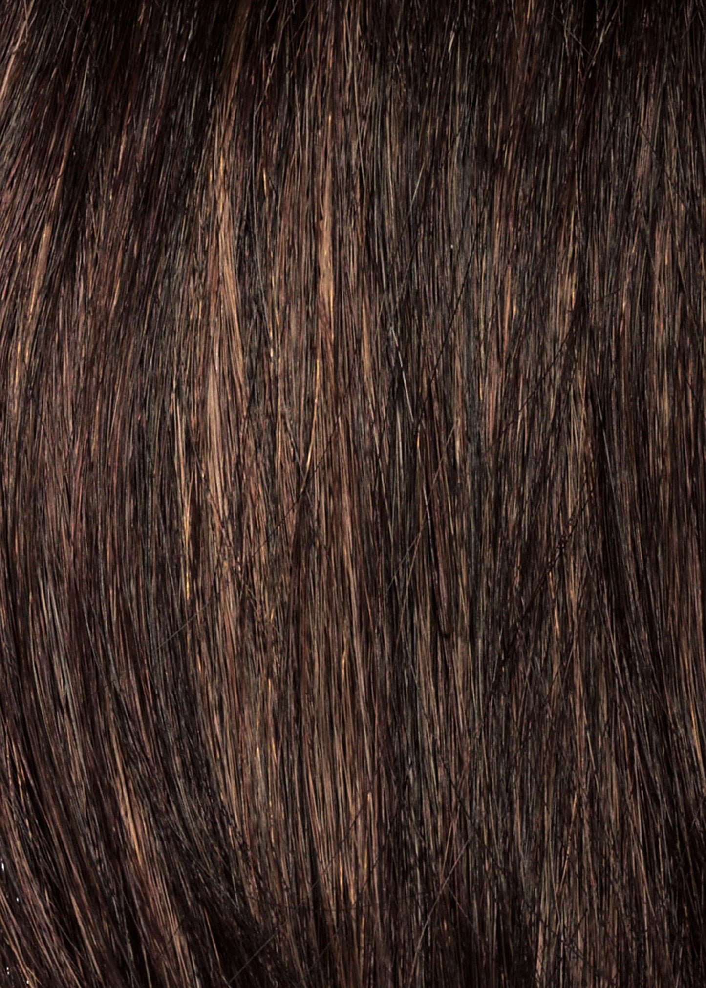 Bob Topper by Envy | Synthetic Lace Front Topper | Mono Top