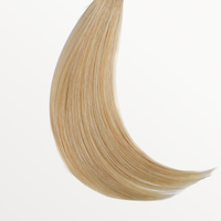 Picture Perfect by TressAllure | HF Synthetic Lace Front Wig | Mono Top