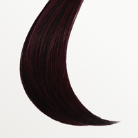 Leading Edge by TressAllure | HF Synthetic Extended Lace Front Wig | Mono Top