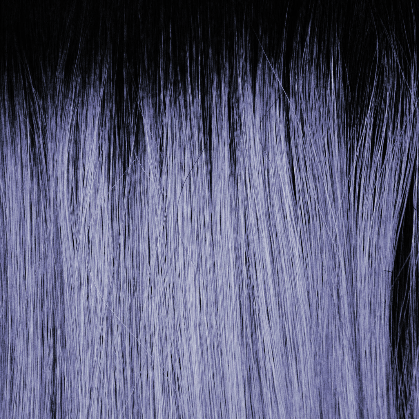 Silky Sleek by Muse Collection | HF Synthetic Wig | Basic Cap (1507)
