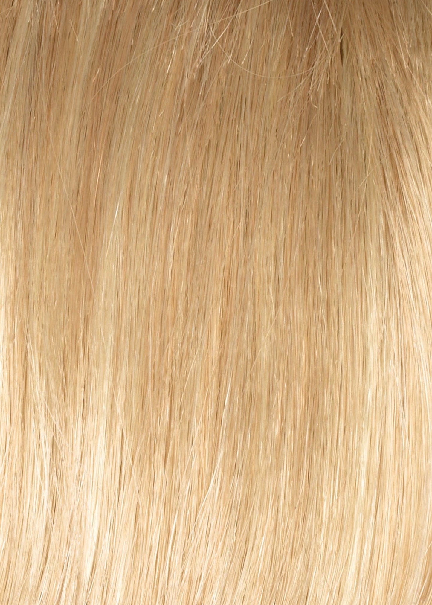 Long Topper by Envy | Synthetic Lace Front | Mono Top