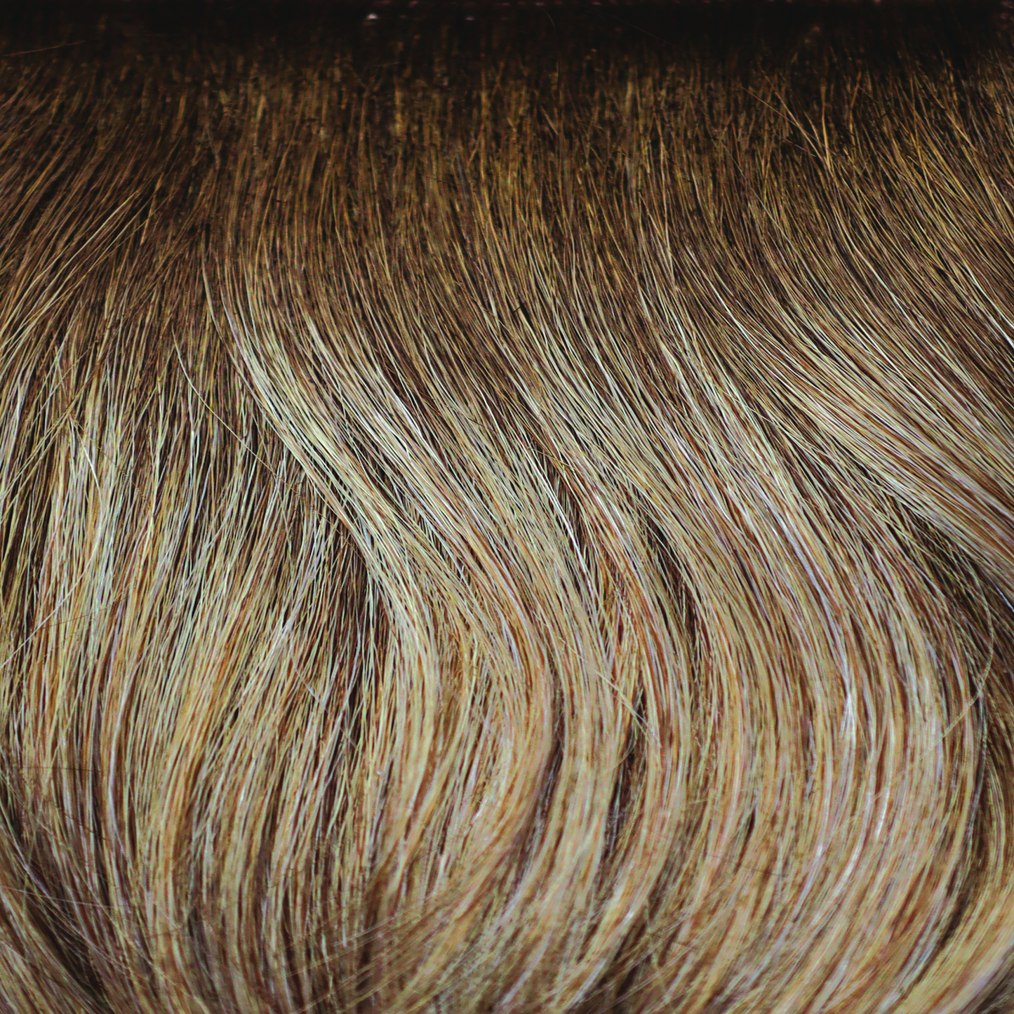 Harper by Alexander Couture Collection | Synthetic Lace Front Wig | Mono Part (1031)