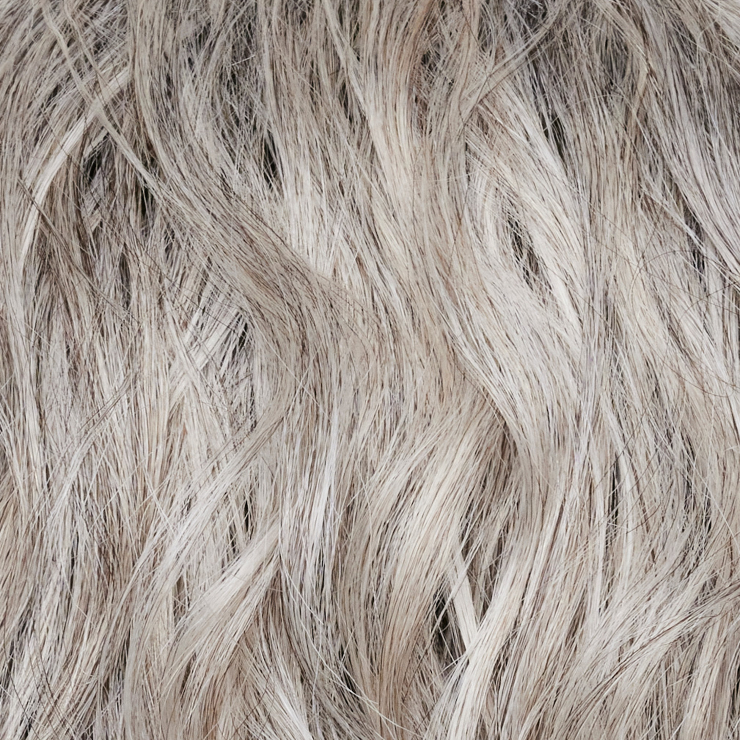 Sophia by Alexander Couture Collection | HF Synthetic Lace Front Wig | Mono Part (1041)