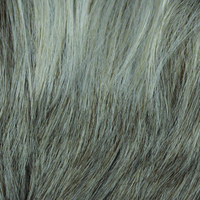 Jodie by The Orchid Collection | Synthetic Wig | Basic Cap (6540)