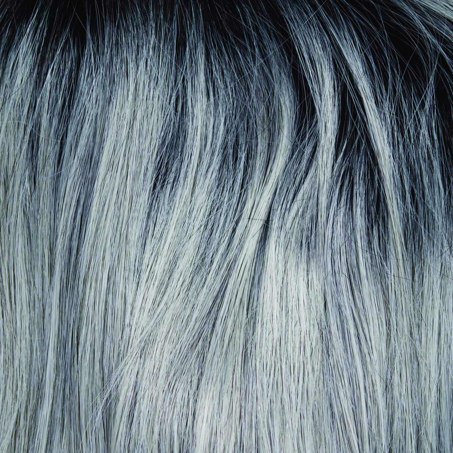 Sassy Wig by The Orchid Collection | Synthetic Wig | Basic Cap
